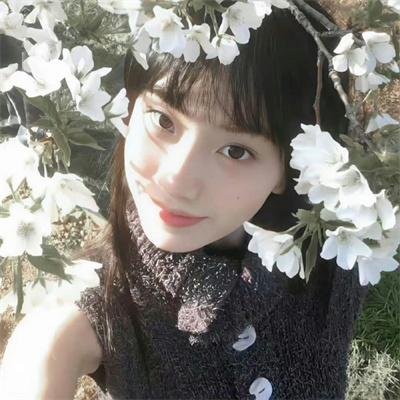 我以网络护国门